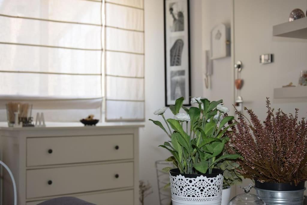 Energy Home Palermo Ngoại thất bức ảnh